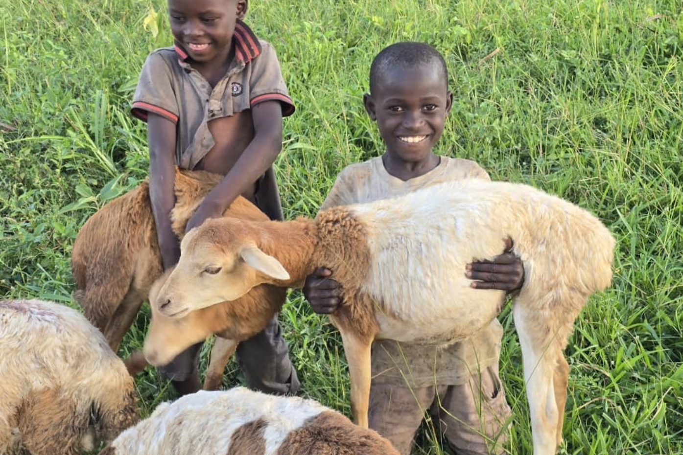 Nafile Kurban Uganda