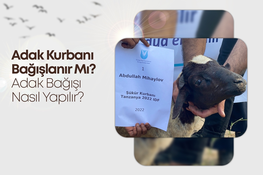 Adak Kurbanı Bağışlanır Mı? Adak Bağışı Nasıl Yapılır?