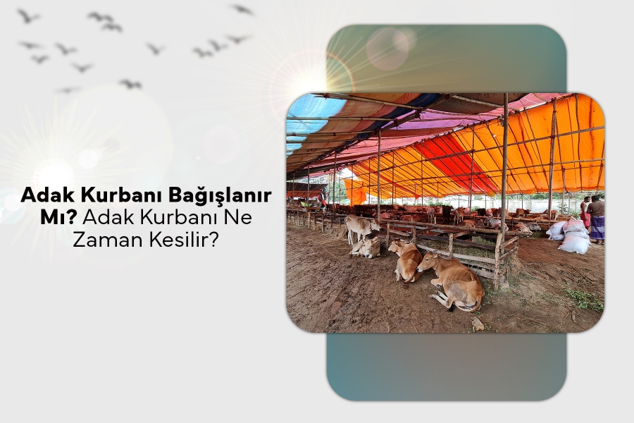 Adak Kurbanı Bağışlanır Mı? Adak Kurbanı Ne Zaman Kesilir?