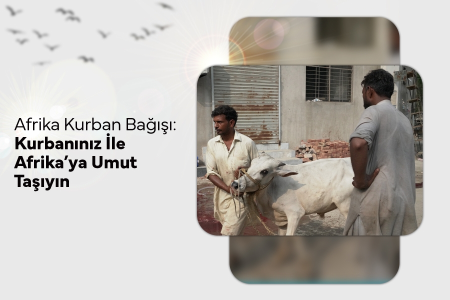 Afrika Kurban Bağışı: Kurbanınız İle Afrika'ya Umut Taşıyın