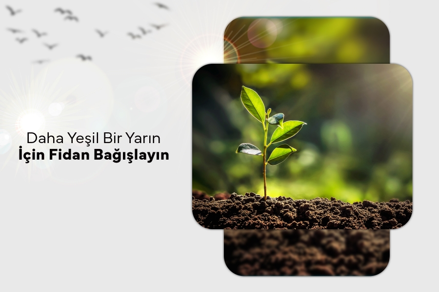 Daha Yeşil Bir Yarın İçin Fidan Bağışlayın