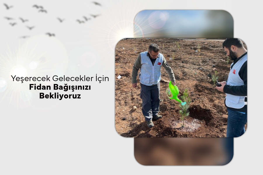 Yeşerecek Gelecekler İçin Fidan Bağışınızı Bekliyoruz 